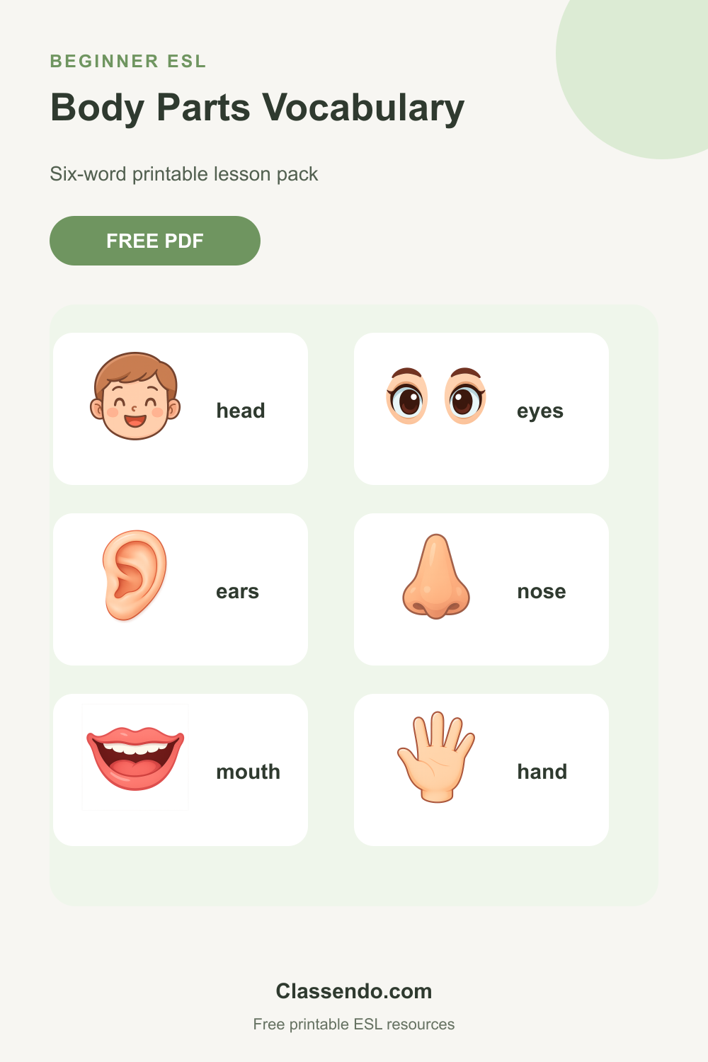Preview of Body Parts Vocabulary beginner ESL pack