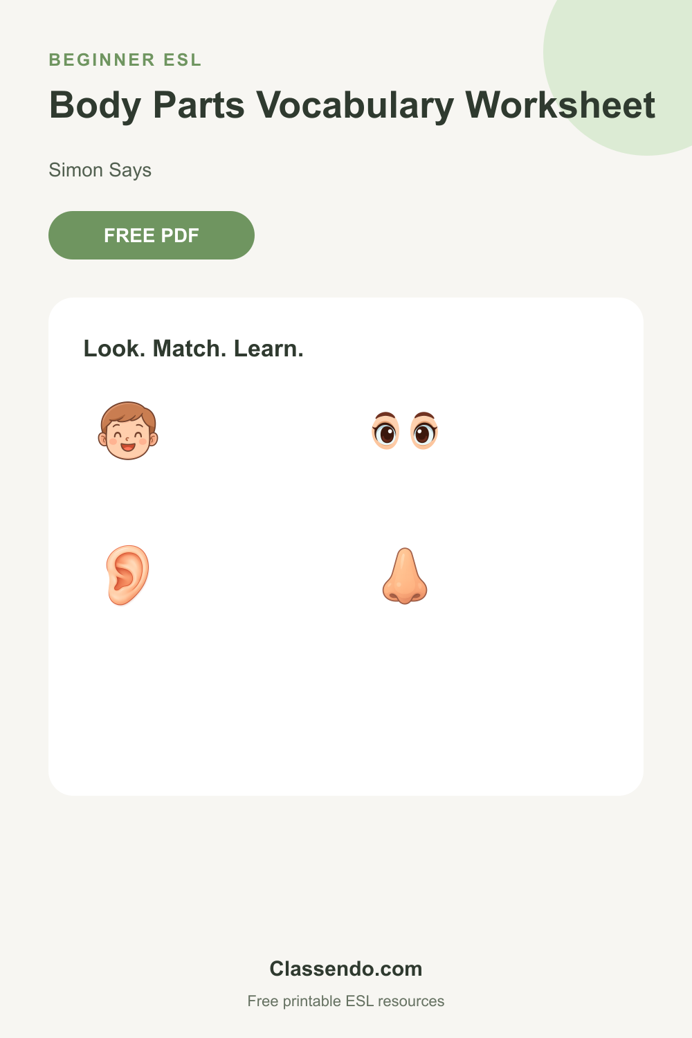 Body Parts Vocabulary worksheet preview