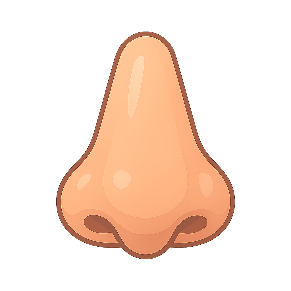 nose